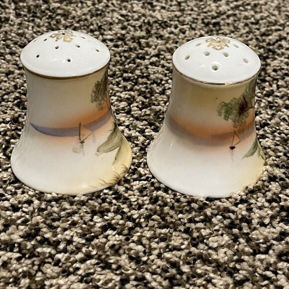 VTG Salt Pepper Shakers 3" Japan Hand Painted Nature Scenes Porcelain Multicolor - Picture 2 of 10